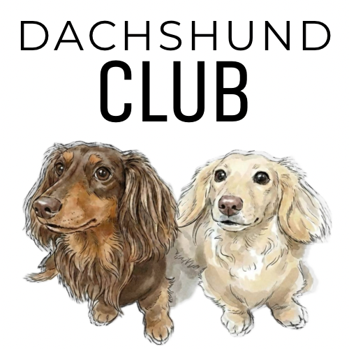 DACHSHUND CLUB ロゴ｜ダックスフンドのミニマルアパレル（黒白・水彩ワンポイント）