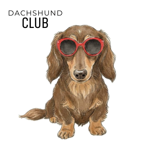 赤いサングラスをかけたダックスフンド「ルーちゃん」の水彩イラスト（DACHSHUND CLUB）