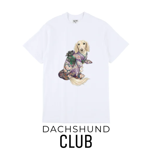 White T-shirt featuring a dachshund illustration wearing a purple furisode kimono, shown as a DACHSHUND CLUB apparel design.
