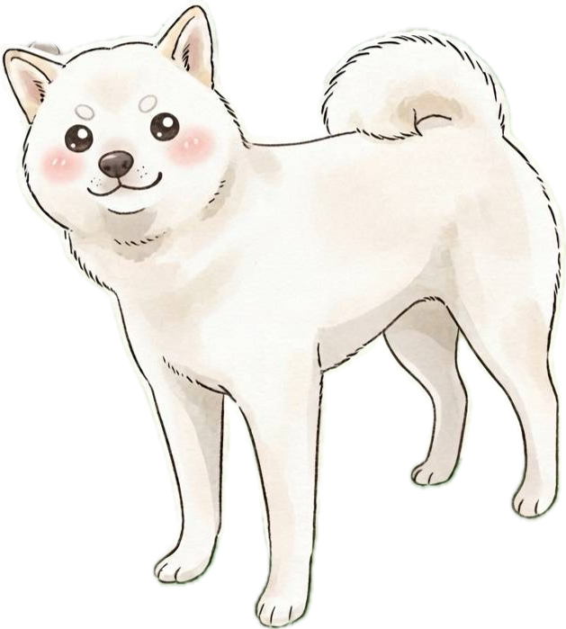 やさしい表情で立つ白柴「しばまる」のオリジナルイラスト。クリーム色の毛並みと丸いしっぽが特徴の、シンプルで親しみやすいデザインです。